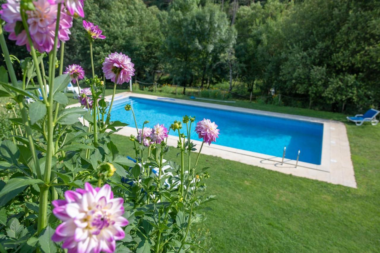 Quinta Da Rabacosa - Turismo Rural Castro Daire Bagian luar foto