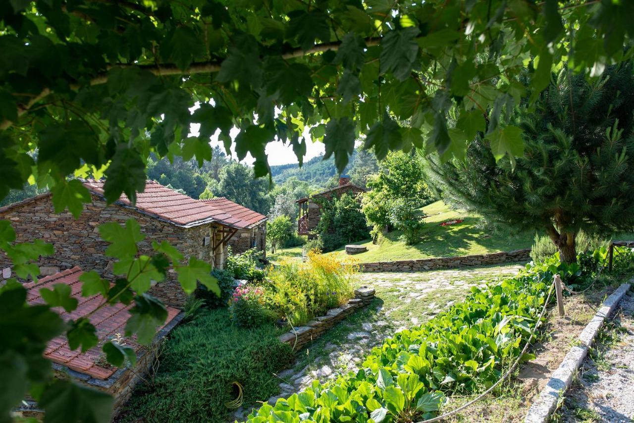 Quinta Da Rabacosa - Turismo Rural Castro Daire Bagian luar foto