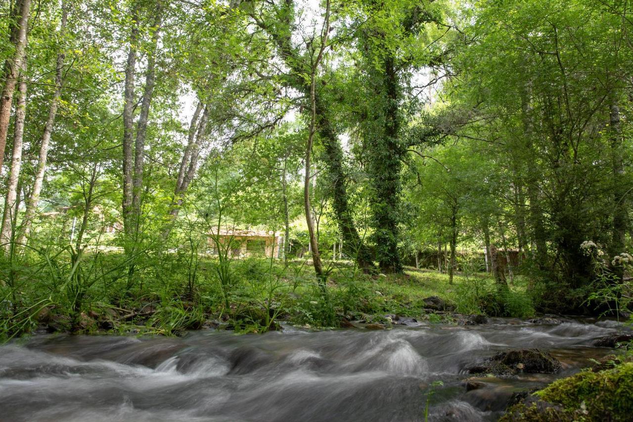 Quinta Da Rabacosa - Turismo Rural Castro Daire Bagian luar foto