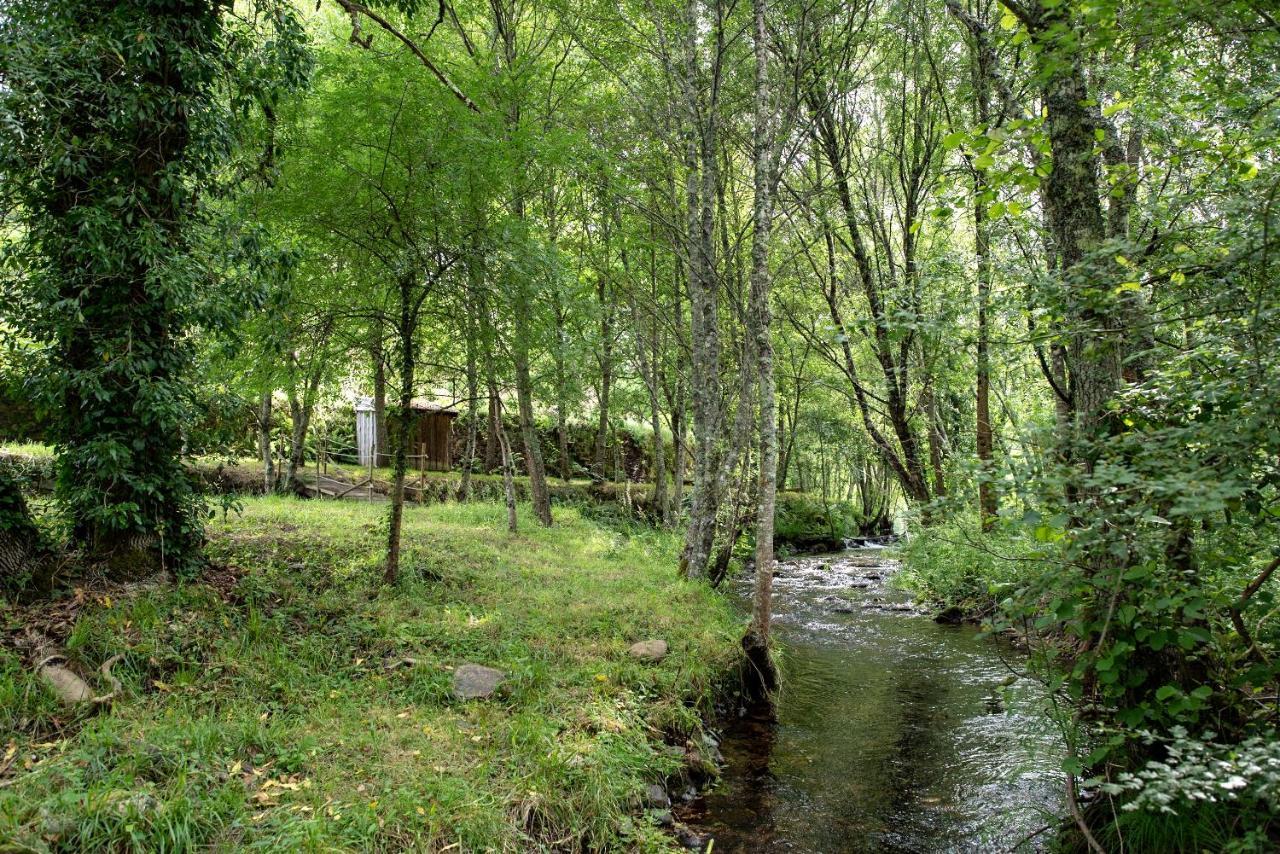 Quinta Da Rabacosa - Turismo Rural Castro Daire Bagian luar foto
