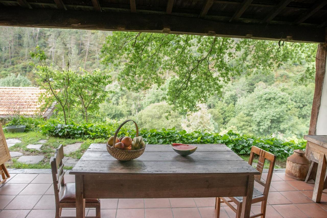 Quinta Da Rabacosa - Turismo Rural Castro Daire Bagian luar foto