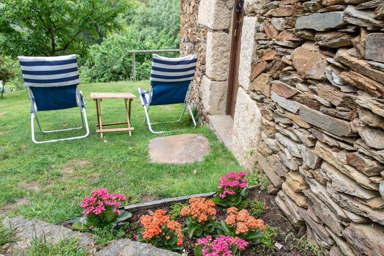 Quinta Da Rabacosa - Turismo Rural Castro Daire Bagian luar foto