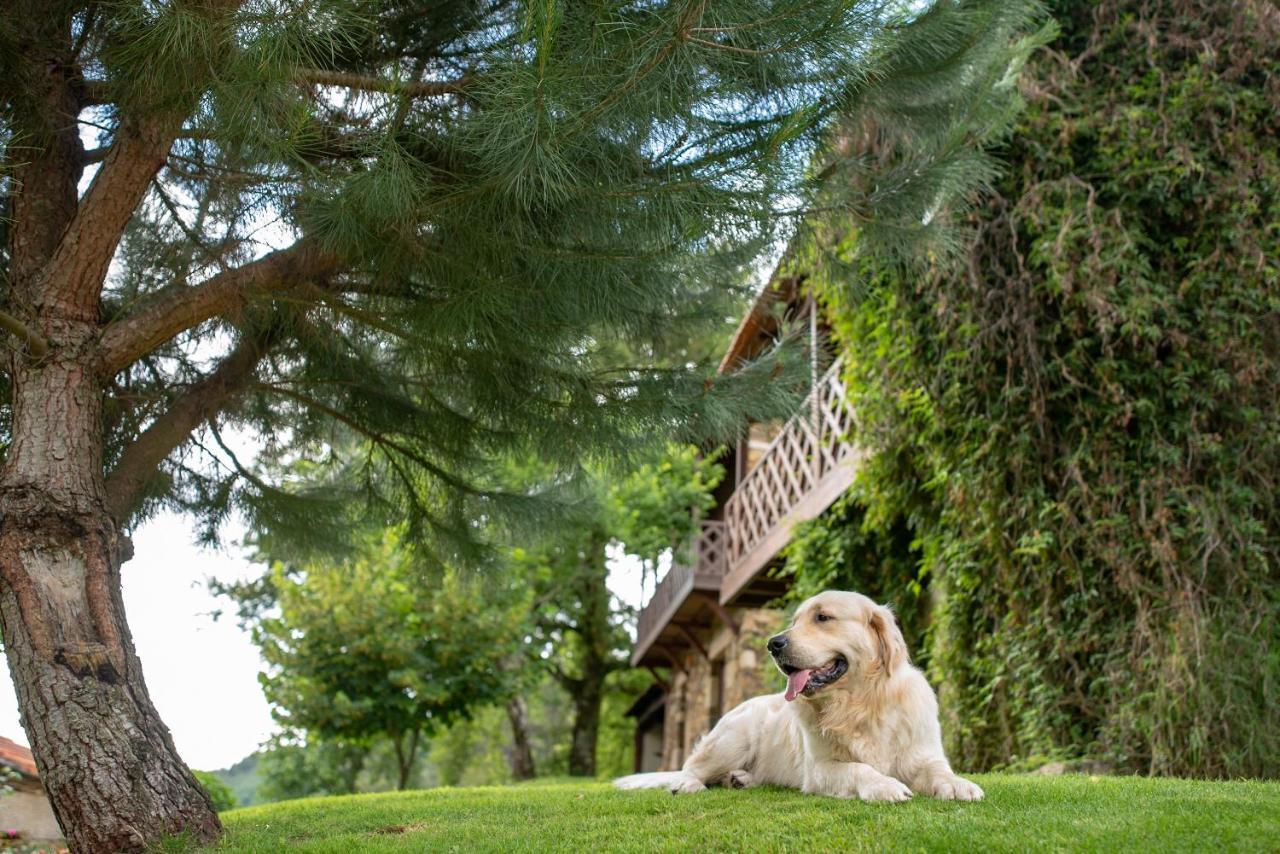 Quinta Da Rabacosa - Turismo Rural Castro Daire Bagian luar foto