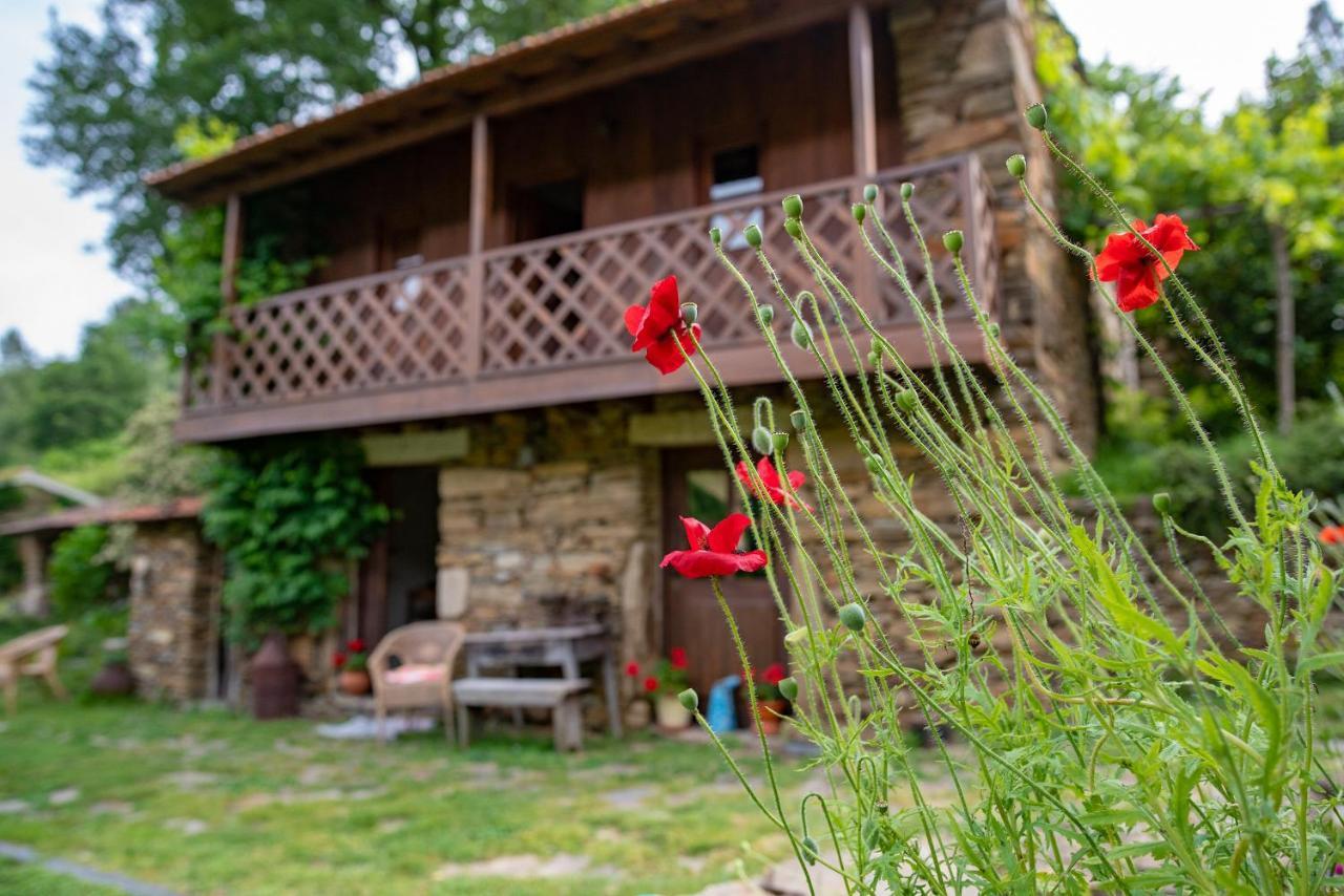 Quinta Da Rabacosa - Turismo Rural Castro Daire Bagian luar foto